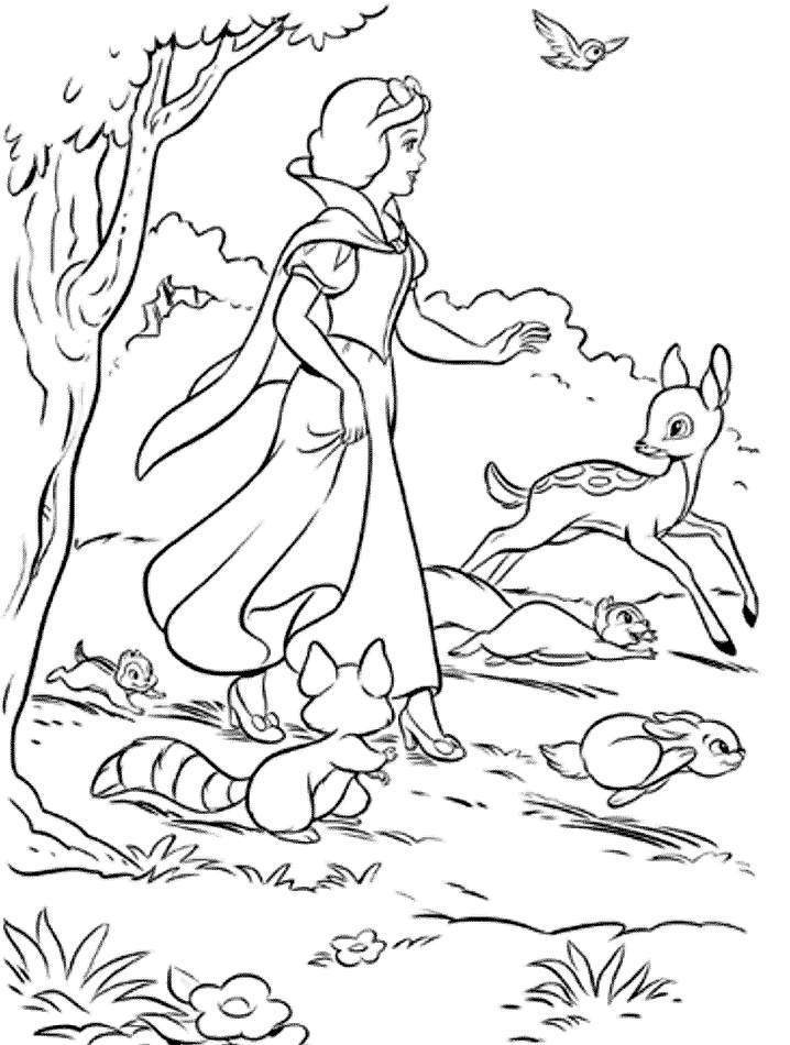 Disney Snow White In Forest