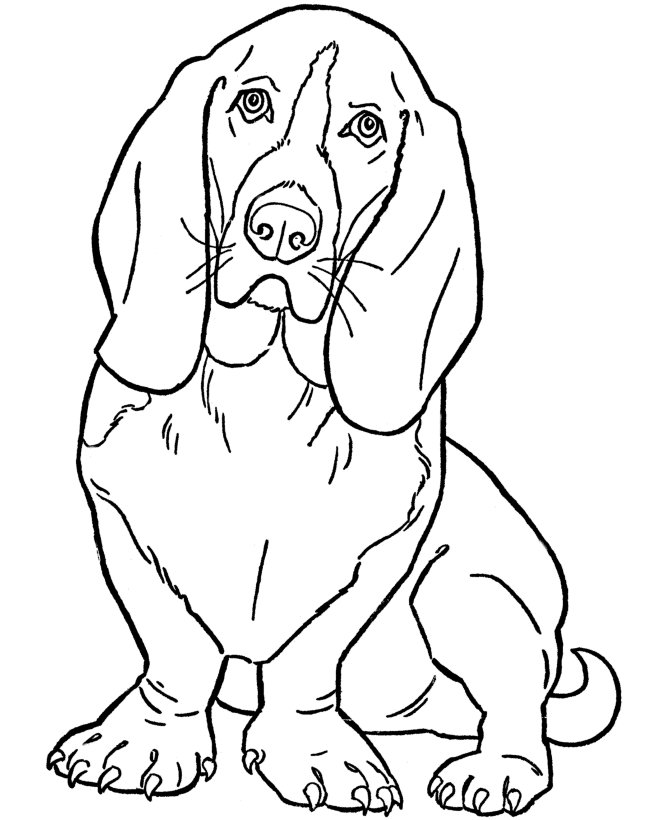 Dog 11 Cool Coloring Page