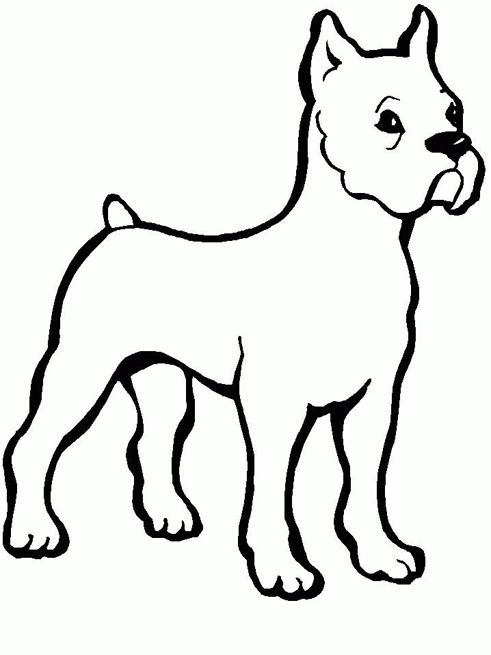 Dog 13 Cool Coloring Page