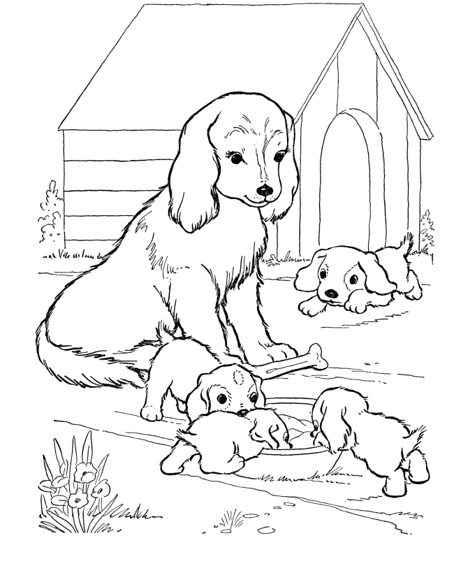 Dog 19 Cool Coloring Page