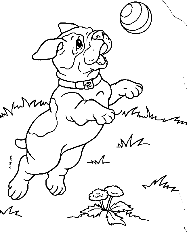 Dog 22 For Kids Coloring Page