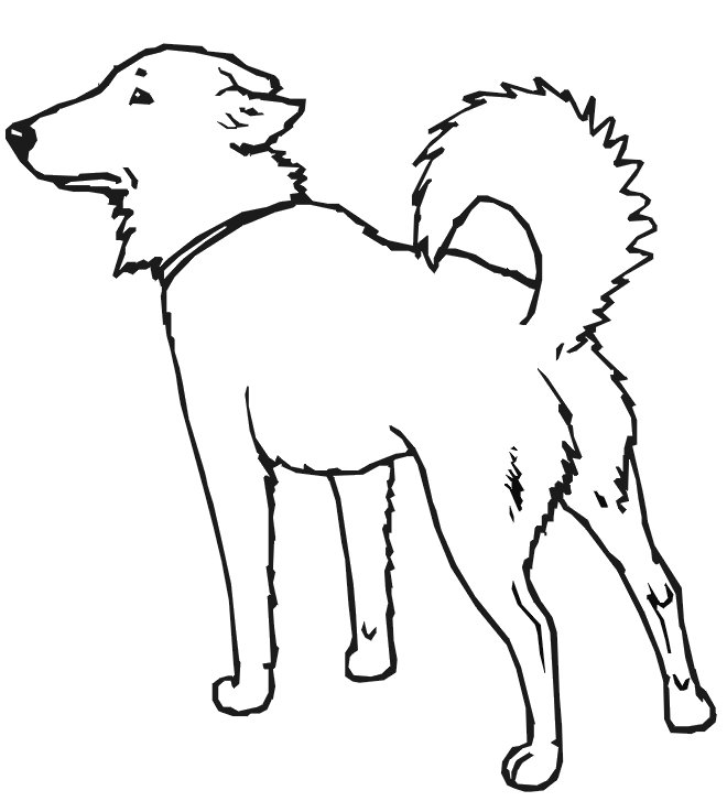 Dog 25 Cool Coloring Page