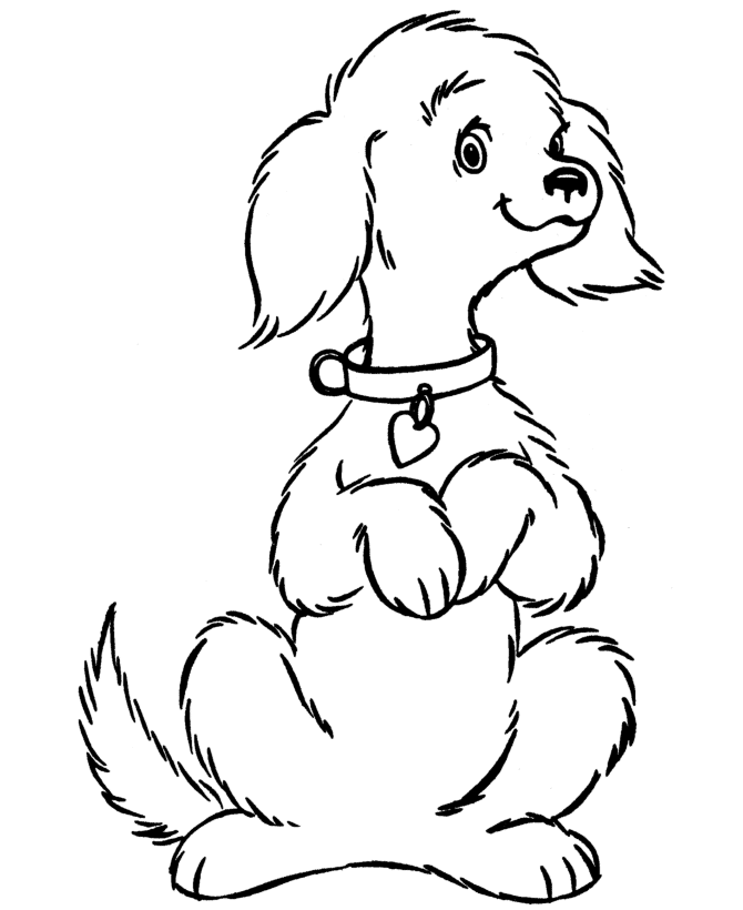 Cool Dog 36 Coloring Page
