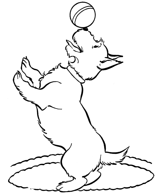 Dog 38 For Kids Coloring Page