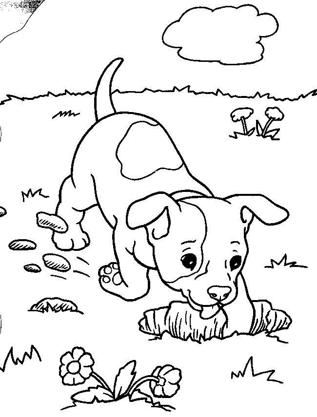 Dog 41 Cool Coloring Page