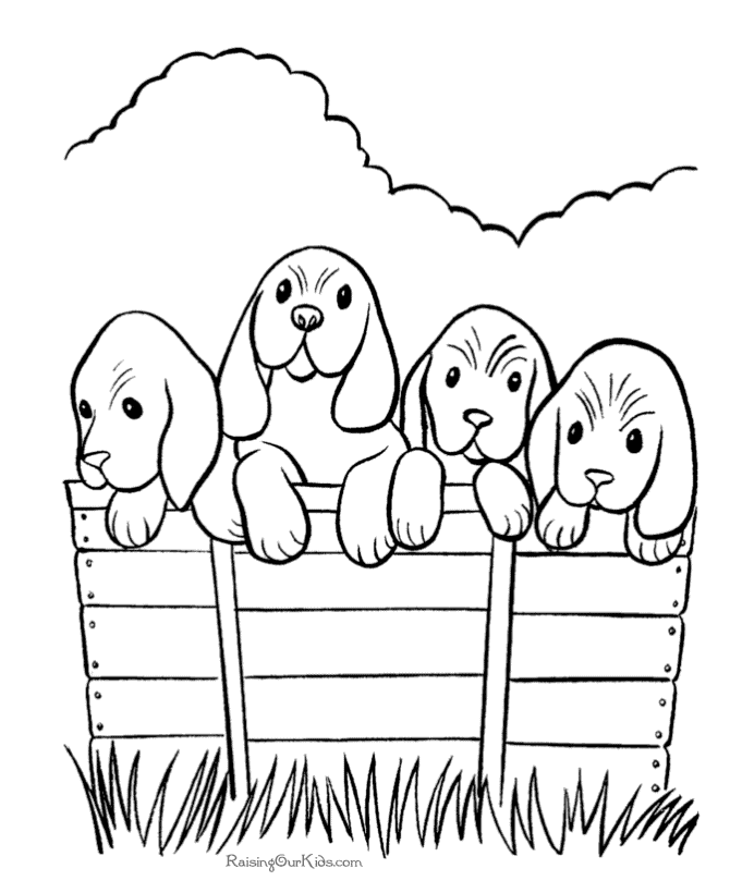 Dog 43 Cool Coloring Page