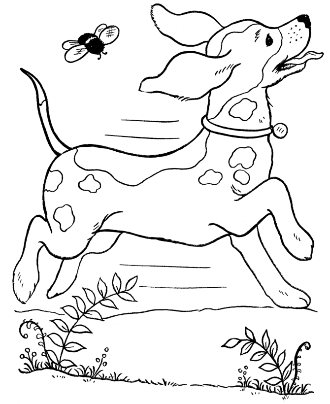 Dog 54 Cool Coloring Page