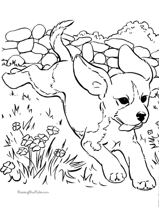 Dog 7 Cool Coloring Page