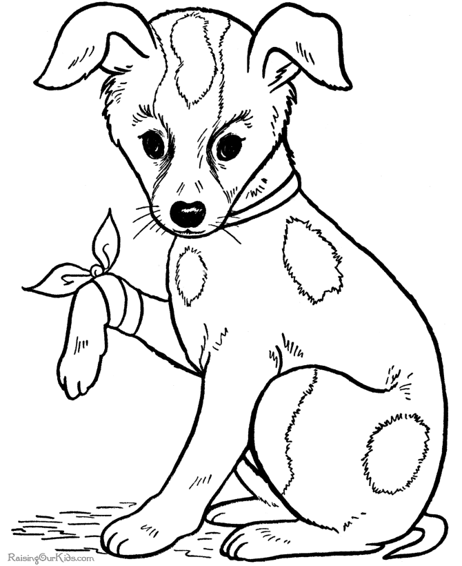 Dog 9 Cool Coloring Page