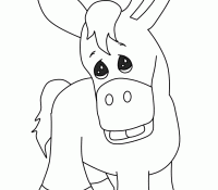 Donkey 28 For Kids