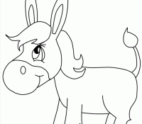 Cool Donkey 42
