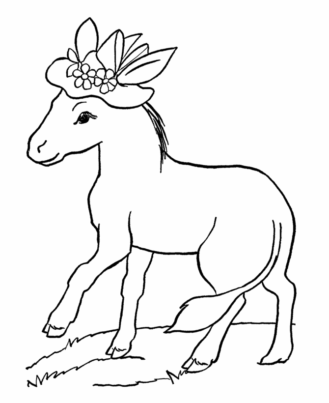 Donkey 1 For Kids Coloring Page
