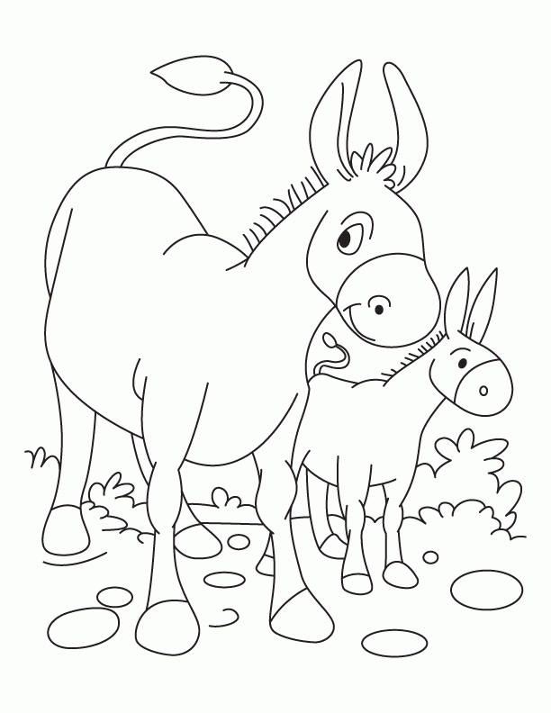 Donkey 10 Cool Coloring Page