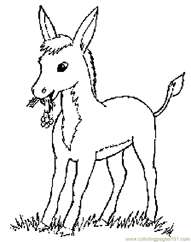 Donkey 14 Cool Coloring Page