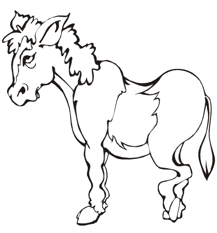 Cool Donkey 15 Coloring Page