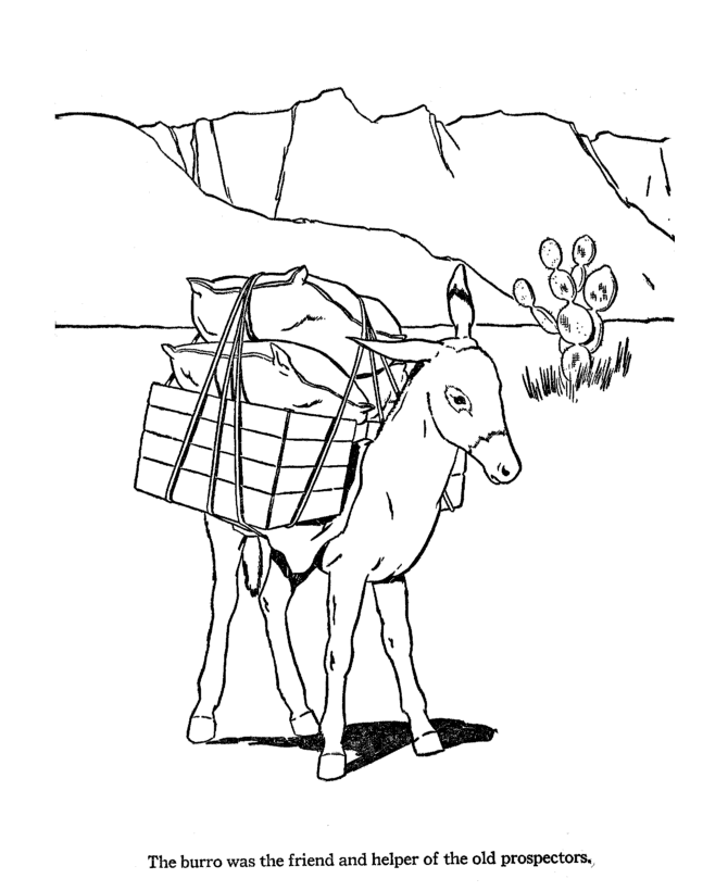 Cool Donkey 22 Coloring Page