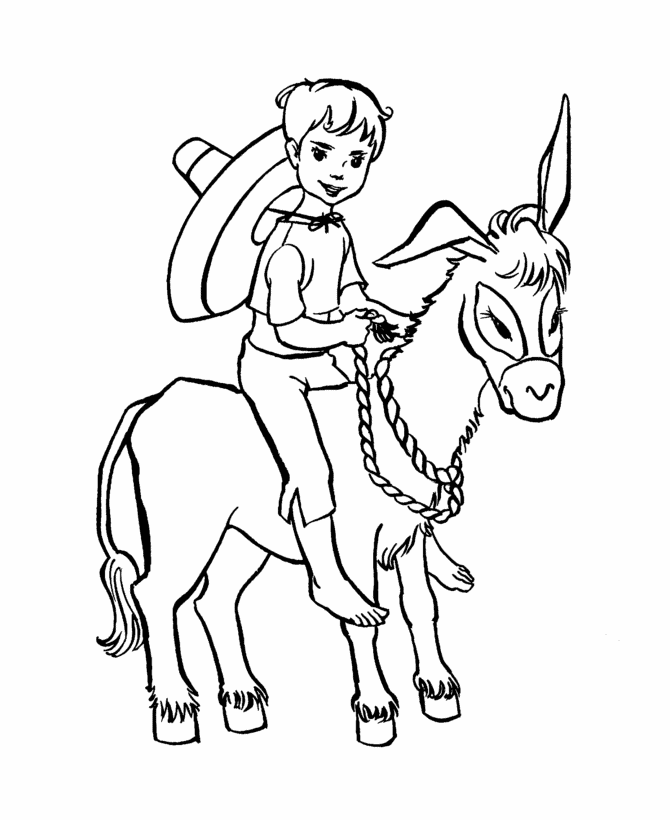 Cool Donkey 3 Coloring Page
