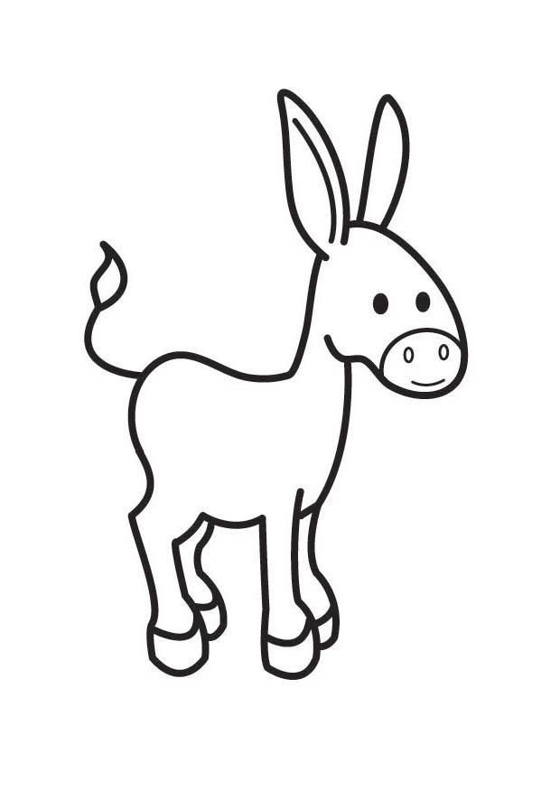 Donkey 34