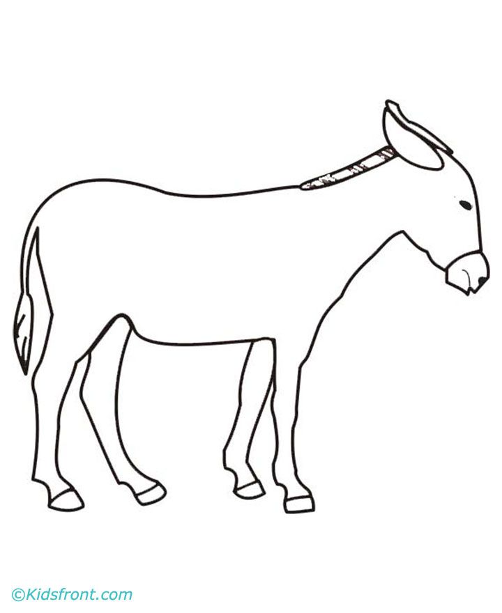 Donkey 35