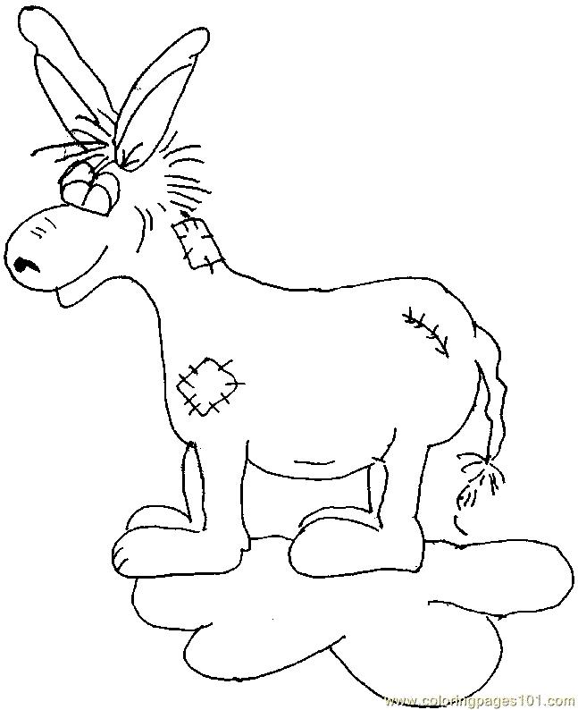 Donkey 41