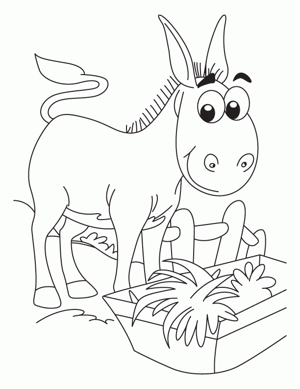 Donkey 6 Cool Coloring Page