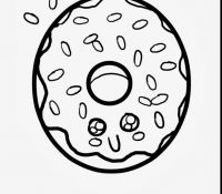 Donut 28 Cool