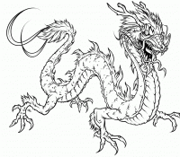 Dragon 10 Cool