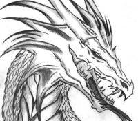 Dragon 14 Cool
