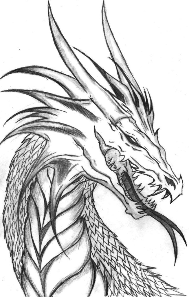 Dragon 14 Cool Coloring Page