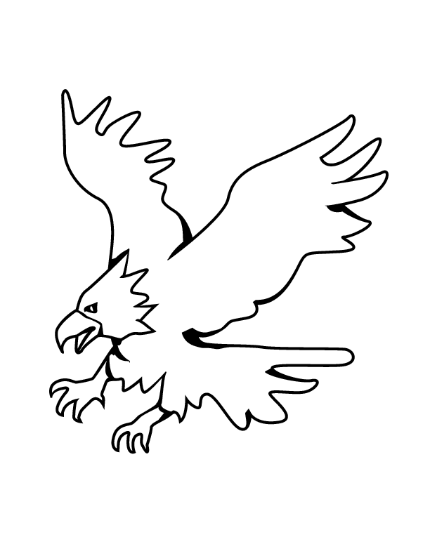 Eagle 46