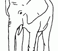 Elephant 14 For Kids