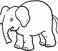 Cool Elephant 24