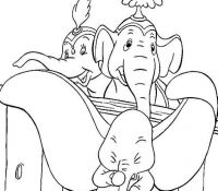 Cool Elephant 28