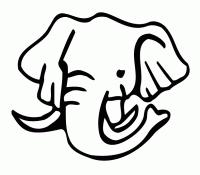 Cool Elephant 40