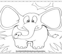 Cool Elephant 48