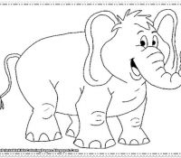 Cool Elephant 8