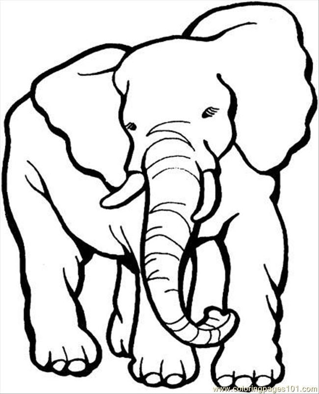 Elephant 10 For Kids Coloring Page