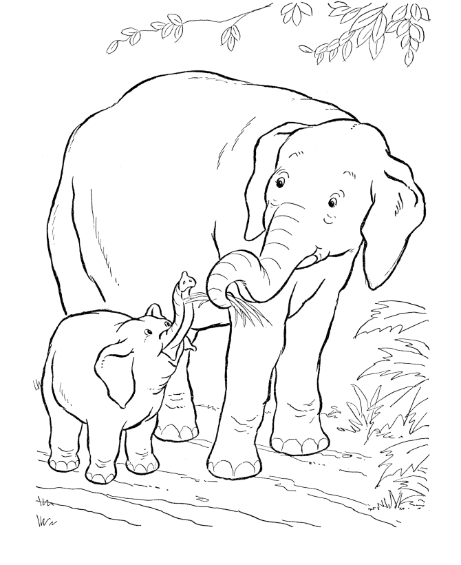 Elephant 13 Cool Coloring Page