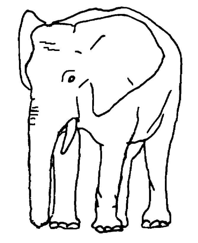 Elephant 14 For Kids Coloring Page