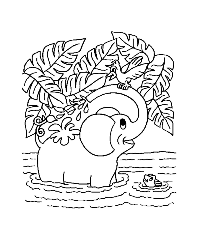 Elephant 19 Cool Coloring Page