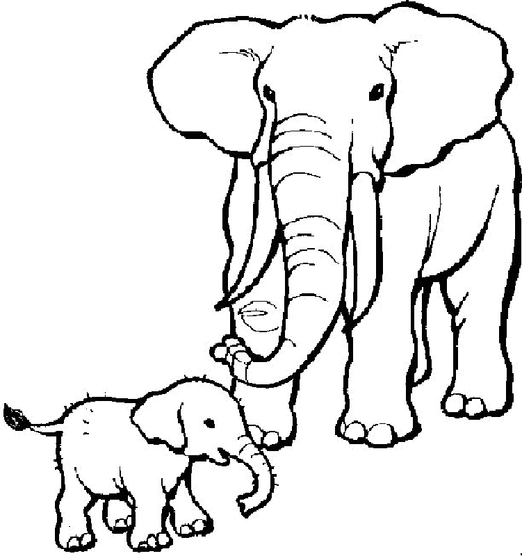 Elephant 22 For Kids Coloring Page
