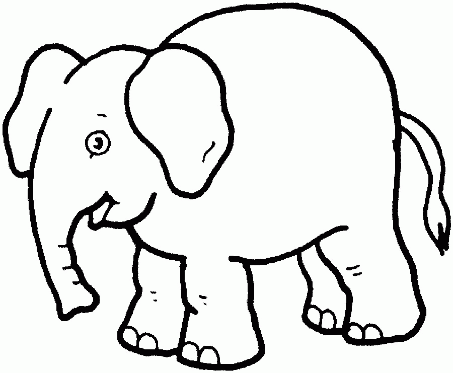 Cool Elephant 24 Coloring Page
