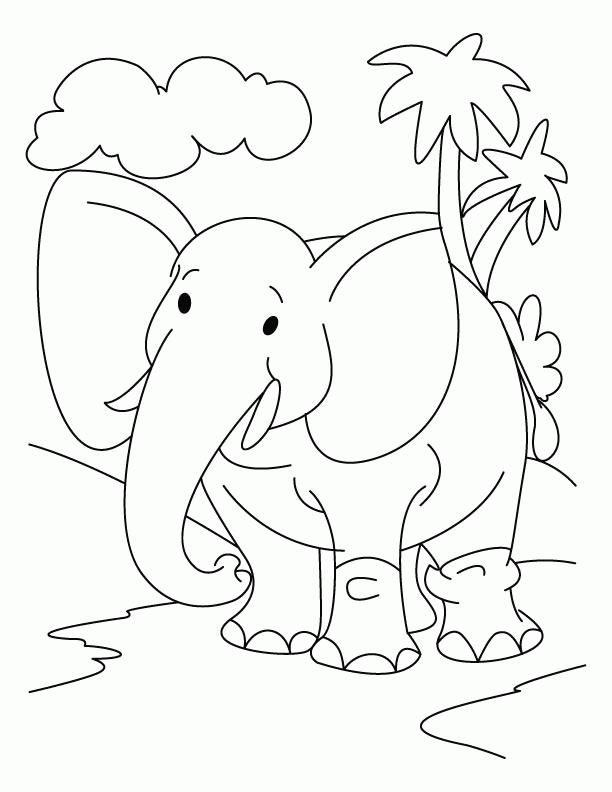 Elephant 27 Cool Coloring Page