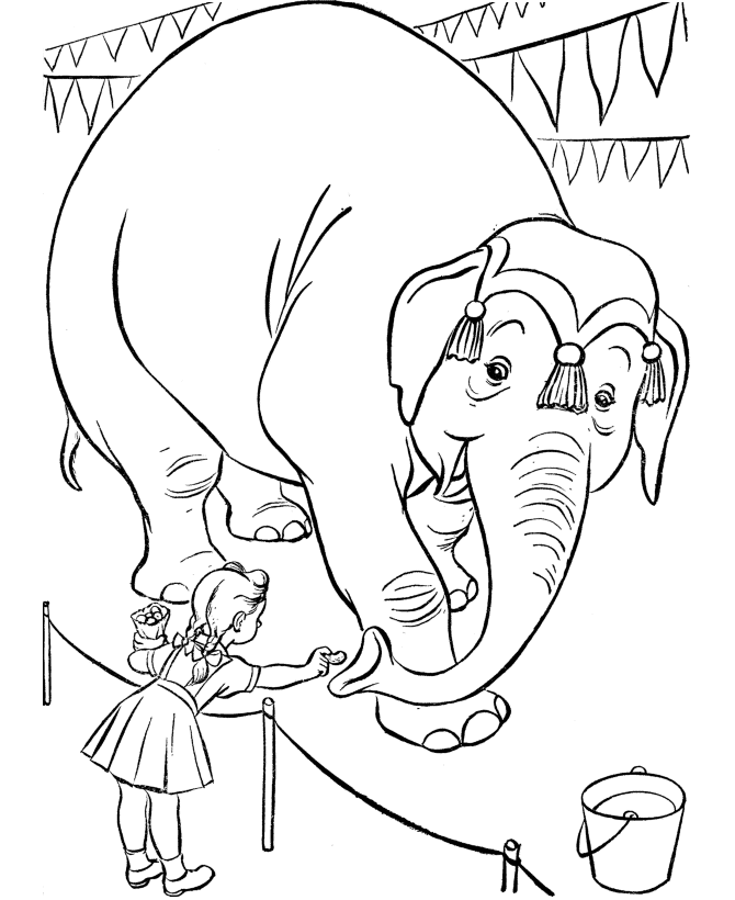 Elephant 38 For Kids