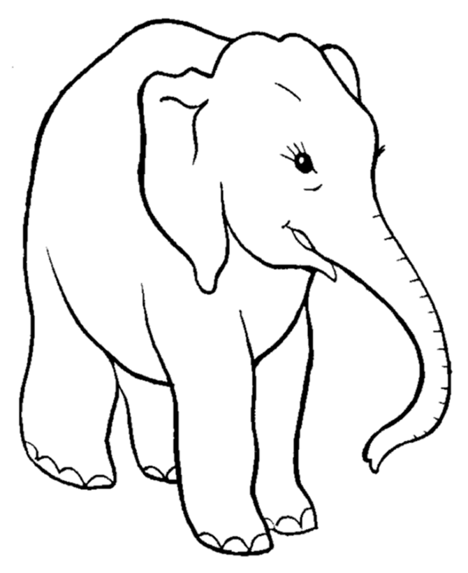 Cool Elephant 4 Coloring Page
