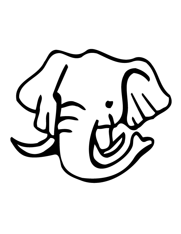 Elephant 40