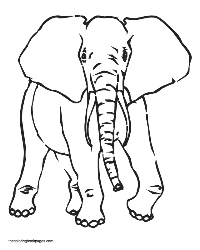 Elephant 46 For Kids