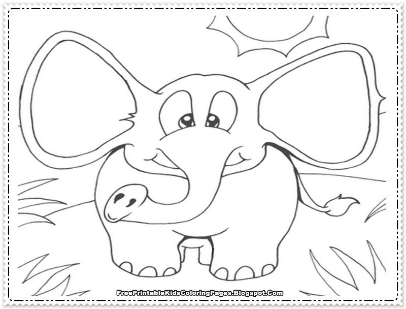 Elephant 48