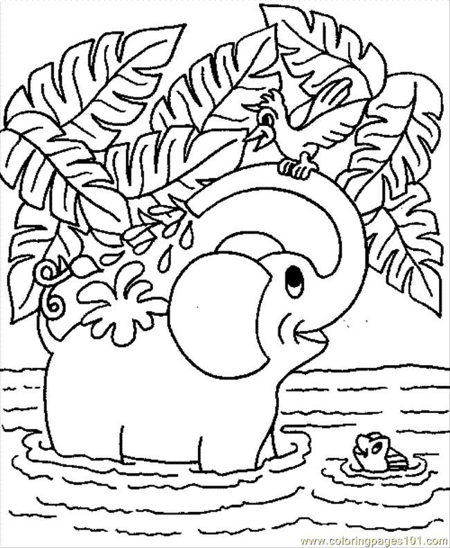 Elephant 9 Cool Coloring Page