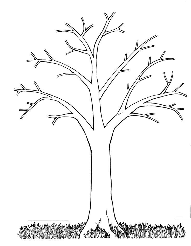 Fall Tree 1 For Kids Coloring Page